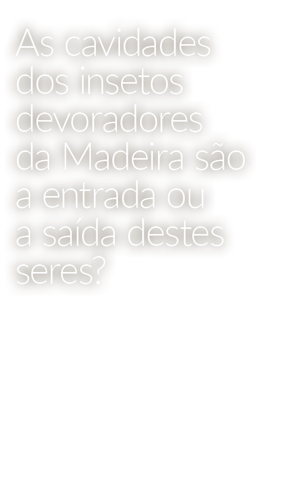 As cavidades dos insetos devoradores da Madeira s o a entrada ou a sa da destes seres?