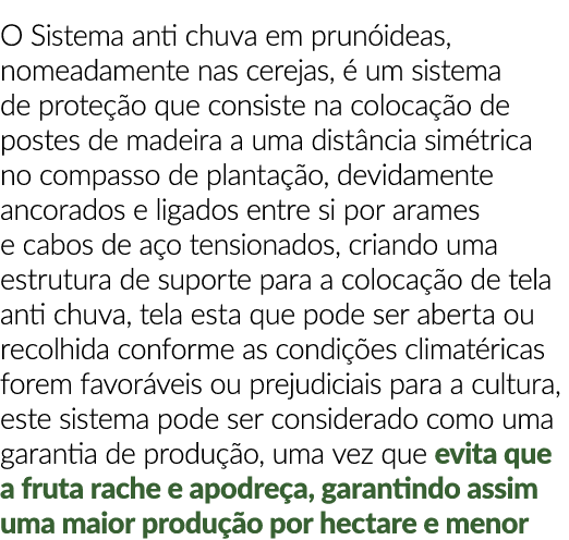 O Sistema anti chuva em prun ideas, nomeadamente nas cerejas,  um sistema de prote  o que consiste na coloca  o de p...